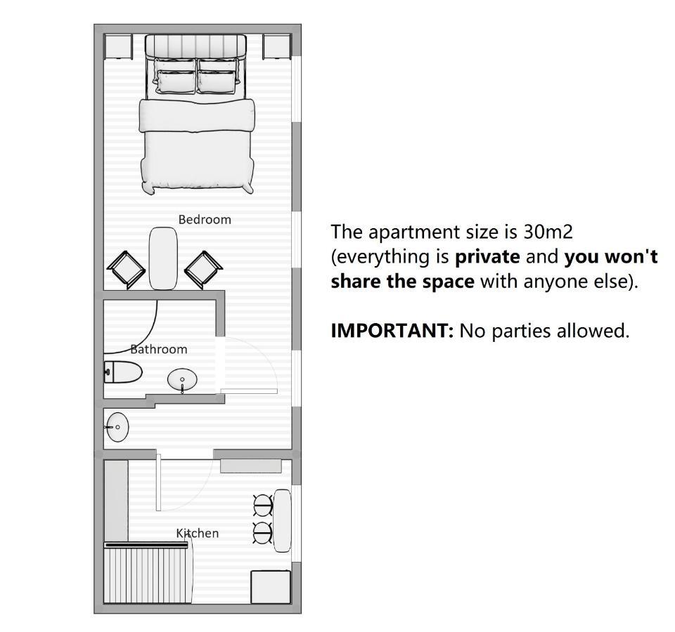 Aparthotel 3 ,, Cosy House Studio" & Parking Kaunas Eksteriør billede